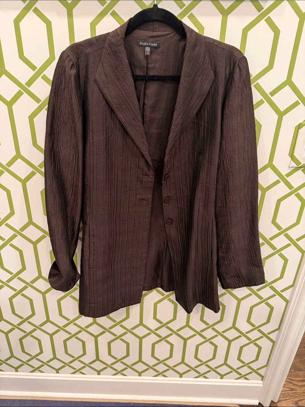 Eileen Fisher Beautiful Chocolate-Brown Textured Long Silk Blazer